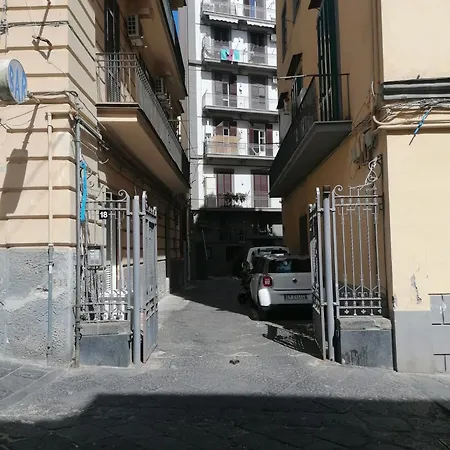 Martuccihouse